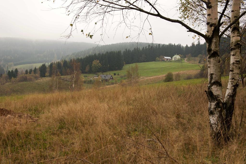 Idylla - Cottage In Lower Silesia Duszniki Zdrój Eksteriør billede